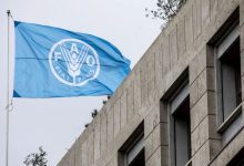 الفاو: نصف سكان اليمن في دائرة انعدام الأمن الغذائي