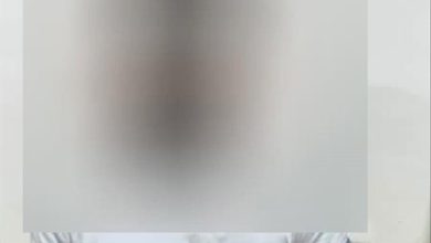 القبض على متهم بسرقة 10 ملايين ريال في عدن