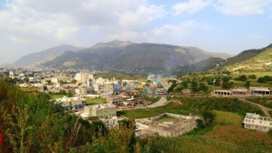 المليشيا تفرض جبايات جديدة على مزارعي البطاط ومربي النحل في إب