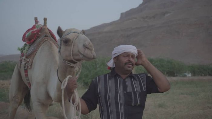 "اليونسكو" تضيف جلسة الدان الحضرمي إلى قائمة التراث العالمي غير المادي