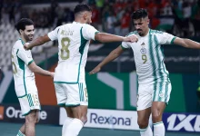 بالأرقام: لاعبو الجزائر يقدمون أداءً جيدًا رغم الخروج أمام الإمارات