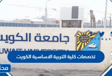 تخصصات كلية التربية الاساسية الكويت 2026