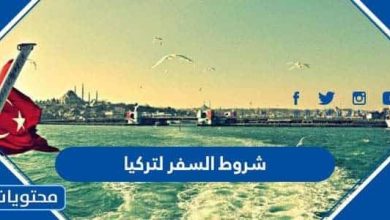 شروط السفر لتركيا