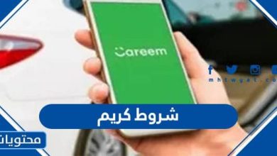 شروط كريم 2023