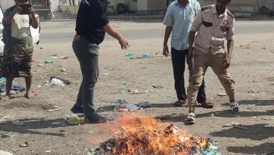 صحة البيئة في المنصورة تنفذ حملة لسحب وإتلاف شمة الحوت