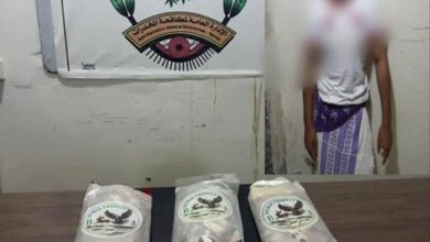 ضبط مروج للمواد المخدرة في المهرة بحوزته 6 كيلوجرامات من الحشيش