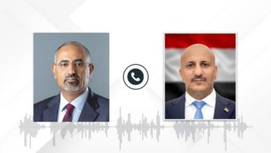 طارق صالح يجري اتصالًا هاتفيًا مع أخيه عيدروس الزبيدي