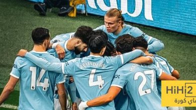 عدد أهداف هالاند في الدوري الانجليزي هذا الموسم