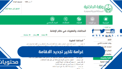 غرامة تاخير تجديد الاقامة