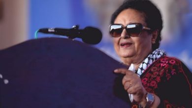 فائقة السيد: اليمن لا يحتمل مزيدا من التشظي