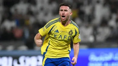 إيميريك لابورت