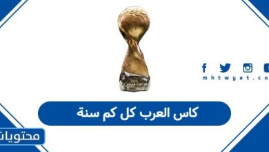 كاس العرب كل كم سنة