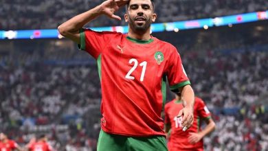 كريم البركاوي