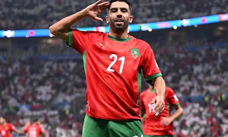 كريم البركاوي