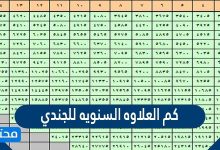 كم العلاوه السنويه للجندي