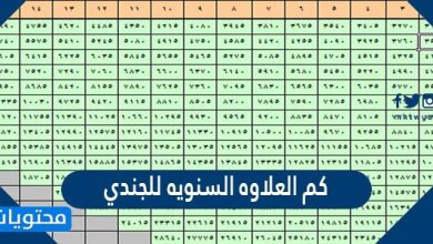 كم العلاوه السنويه للجندي