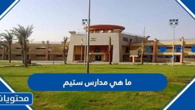 ما هي مدارس ستيم