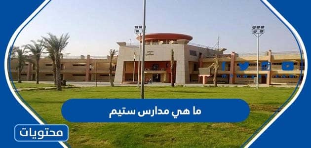 ما هي مدارس ستيم