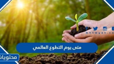 متى يوم التطوع العالمي 2024 International Volunteer Day