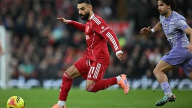 ليفربول ضد برايتون