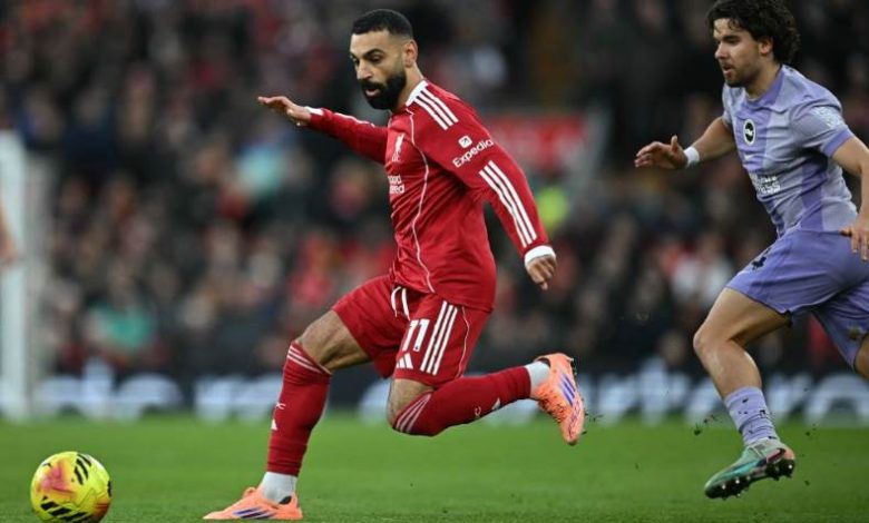 ليفربول ضد برايتون