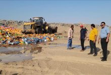 مدير عام المنصورة يوجه بإتلاف ( 70 ) طناً من العصائر منتهية الصلاحية