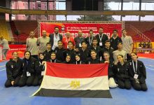 بعثة مصر في أنجولا