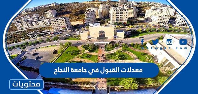 معدلات القبول في جامعة النجاح