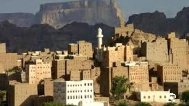 مقتل مواطن برصاص مسلحين مجهولين في شبوة.. وتصاعد الحوادث الجنائية في حبان خلال 24 ساعة