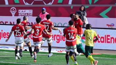 مصر وجنوب أفريقيا