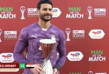 محمد الشناوي