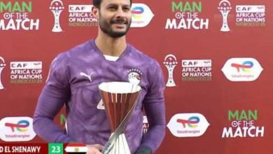 محمد الشناوي