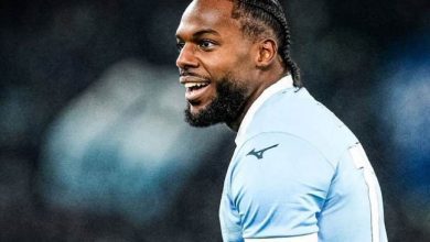 نونو تافاريس