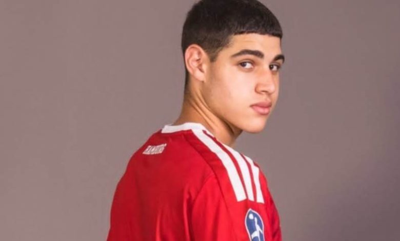 محمود الشوبكي