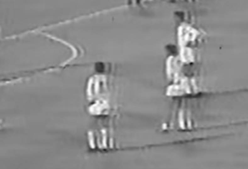 المنتخب المصري