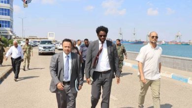 هيئة الشؤون البحرية تبحث مع مؤسسة الدعم الدولي الأوروبي تعزيز مجالات الأمن والسلامة البحرية