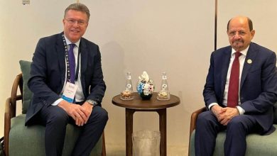 وزير الخارجية يلتقي المبعوث الخاص للنمسا