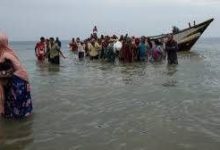 وصول 180 مهاجرًا أفريقيًا إلى ساحل العين بمديرية رضوم بشبوة