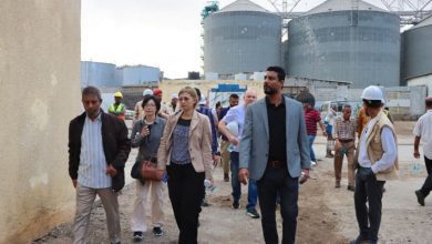 وفد من البنك الدولي يتفقد مركز الأنزال السمكي في عدن