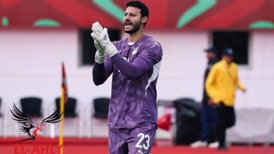 كاف يتغنى بمستوى الشناوي في مجموعات أمم أفريقيا