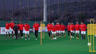 قبل الصدام الكبير.. نجم الفراعنة يكشف ما لم يُقال عن مواجهة الأفيال