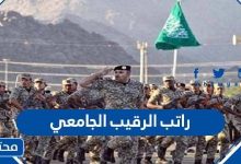 راتب الرقيب الجامعي