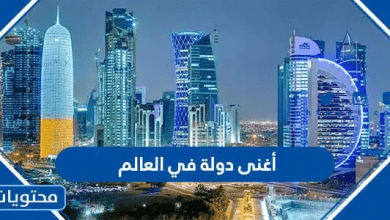 أغنى دولة في العالم 2026