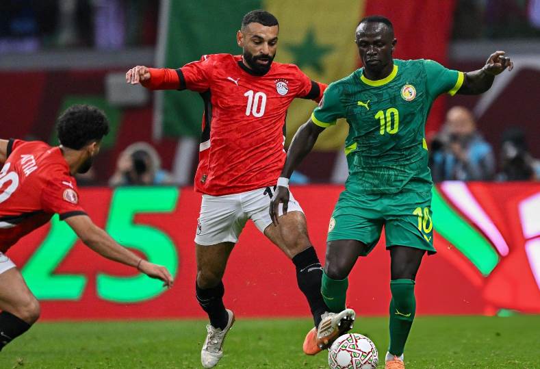 مصر والسنغال