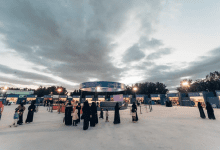 100 ألف زائر لمهرجان "زيتون إكسبو 2026" في نسخته الـ19