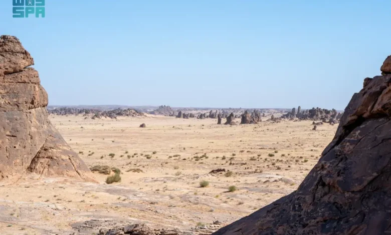 اكتشاف أحفوري فريد في العُلا عمره 465 مليون عام