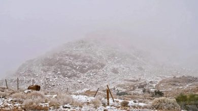 القريات تحت الصفر.. "الأرصاد" تتوقع موجة برد وصقيع