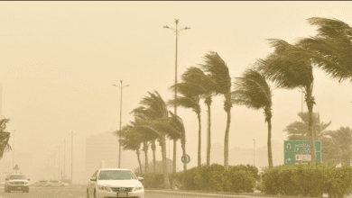 رياح نشطة على تبوك - صحيفة الوئام