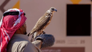صقر يفوز بـ120 ألف ريال في مهرجان الملك عبدالعزيز