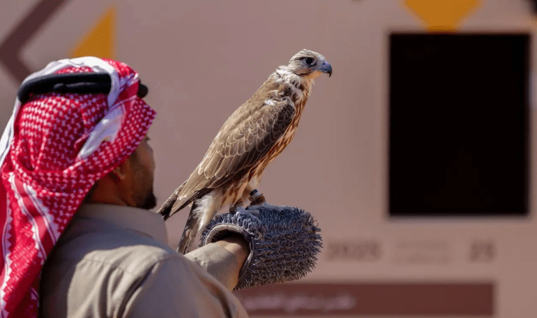 صقر يفوز بـ120 ألف ريال في مهرجان الملك عبدالعزيز
